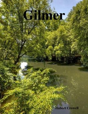 Cover of the book Gilmer by Armina Sîrbu
