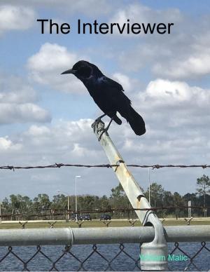 Cover of the book The Interviewer by The Abbotts