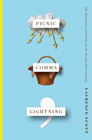 Book cover of Picnic Comma Lightning: The Experience of Reality in the Twenty-First Century