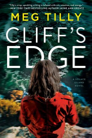Cover of the book Cliff's Edge by Melissa Glazer