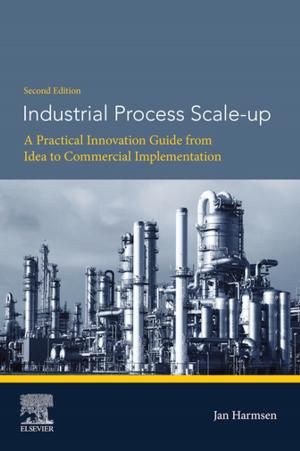 Cover of Industrial Process Scale-up