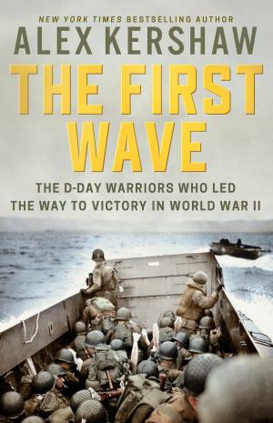 Cover of the book The First Wave by Matt Farwell, Michael Ames