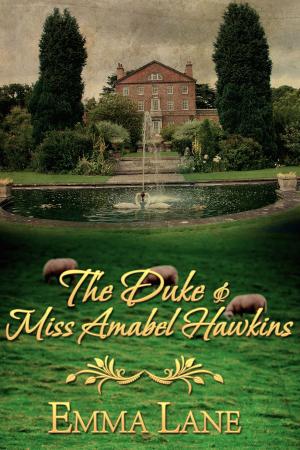 Book cover of The Duke and Miss Amabel Hawkins