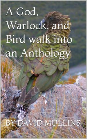 Cover of the book A God, Warlock, & Bird walk into an Anthology by Kim Hunter