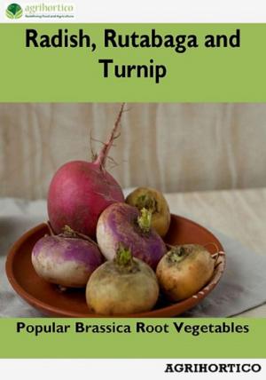 Book cover of Radish, Rutabaga and Turnip