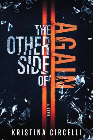 Book cover of The Other Side of Again
