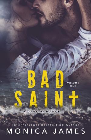 Book cover of Bad Saint (All The Pretty Things Trilogy Volume 1)
