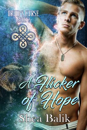 Cover of the book A Flicker of Hope by Shea Balik