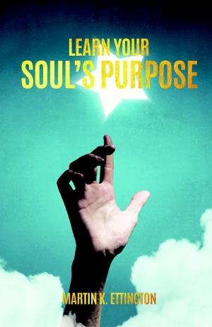 bigCover of the book Learn Your Soul's Purpose to Live a Fulfilling Life by 