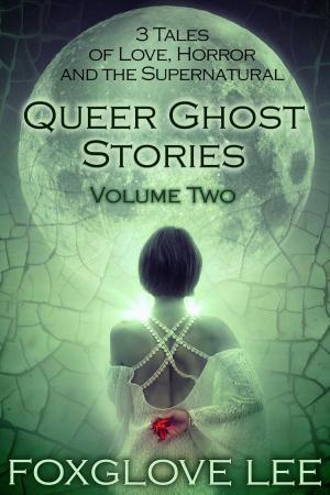Book cover of Queer Ghost Stories Volume Two: 3 Tales of Love, Horror and the Supernatural