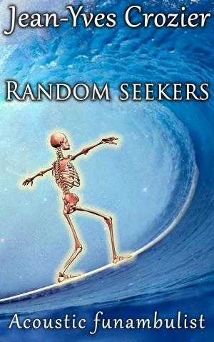 Cover of the book Random Seekers by Siobhan Minty