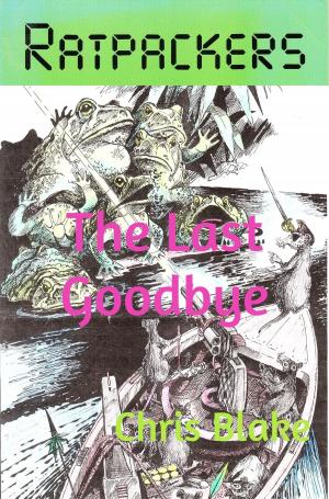 Book cover of The Last Goodbye