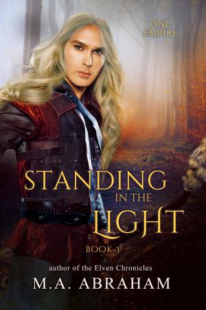 bigCover of the book Standing in the Light by 