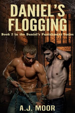 Book cover of Daniel's Flogging: Book 2 in the Daniel's Punishment Series