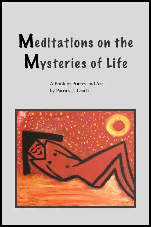 Book cover of Meditations on the Mysteries of Life