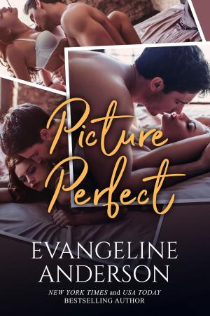Cover of the book Picture Perfect by Ellyn Oaksmith
