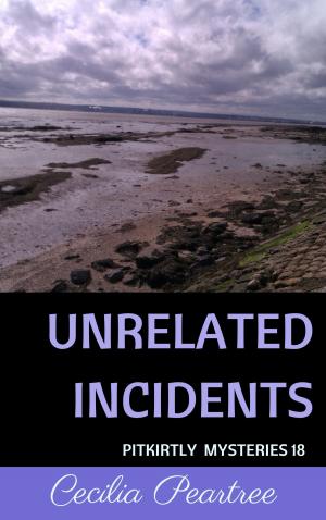 Book cover of Unrelated Incidents