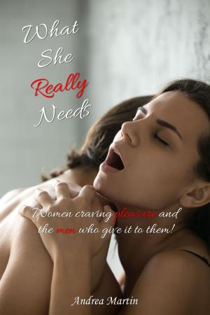 Cover of the book What She Really Needs by Brita Plaisir