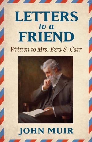 Cover of the book Letters to a Friend by S. Twomey