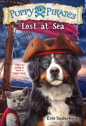 Cover of the book Puppy Pirates #7: Lost at Sea by Phyllis Reynolds Naylor