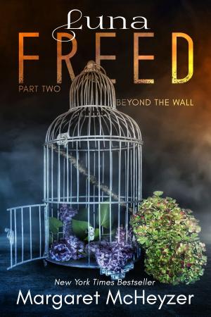 Book cover of Luna Freed: Beyond the Wall
