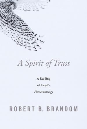 Cover of the book A Spirit of Trust by Alexia M. Yates