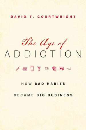 Cover of the book The Age of Addiction by Eric Calderwood
