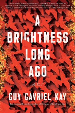 Cover of the book A Brightness Long Ago by Bill Fawcett