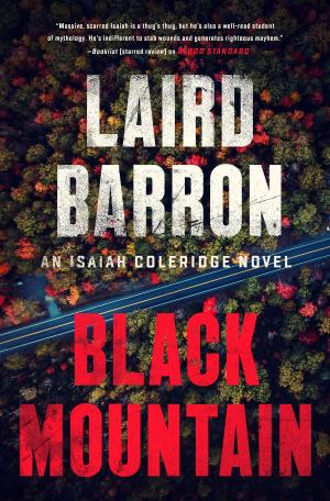 Cover of the book Black Mountain by Lauren North