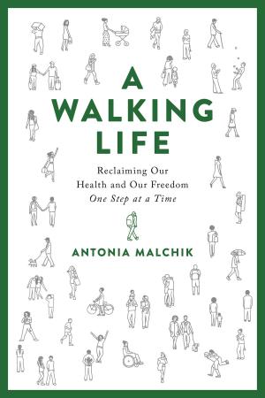Cover of the book A Walking Life by Natasha Kogan