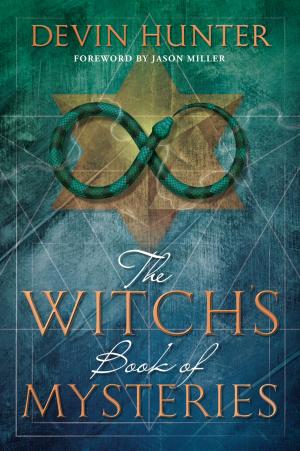 Book cover of The Witch's Book of Mysteries