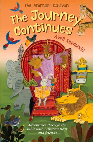 Cover of the book The Journey Continues by Katharine Swartz