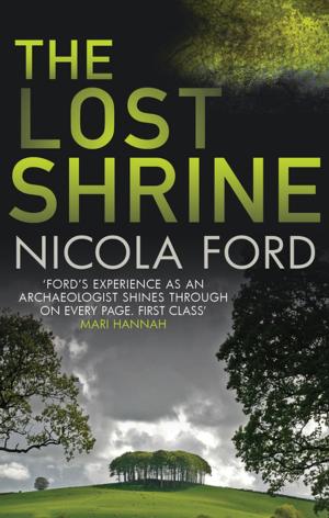 bigCover of the book The Lost Shrine by 