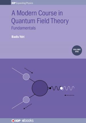 Book cover of A Modern Course in Quantum Field Theory, Volume 1