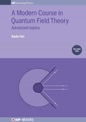 Book cover of A Modern Course in Quantum Field Theory, Volume 2