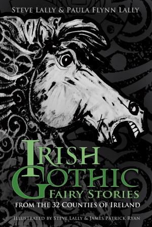Cover of the book Irish Gothic Fairy Stories by Gilly Pickup