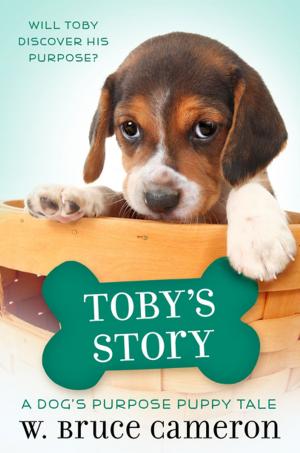 Cover of the book Toby's Story by Sherrilyn Kenyon