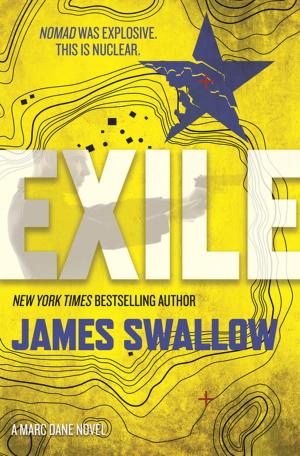 Cover of the book Exile by Steven Brust