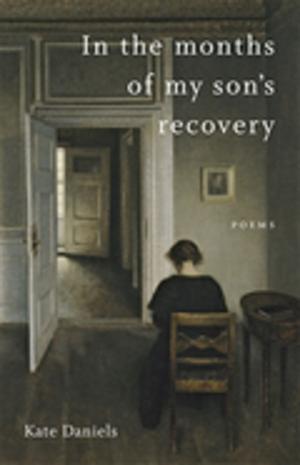 Book cover of In the Months of My Son's Recovery