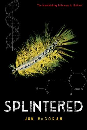 Cover of the book Splintered by Mary Amato