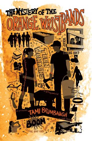 Cover of The Mystery of the Orange Wristbands