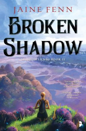 Book cover of Broken Shadow