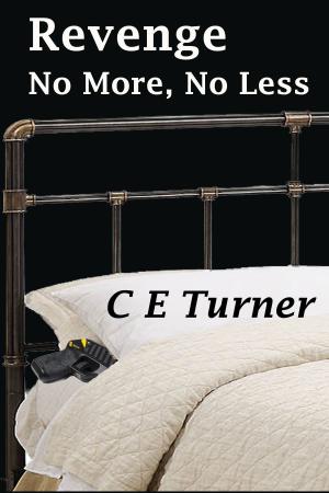 Cover of the book Revenge: No More, No Less by Clare Seven