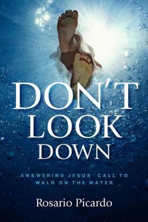 Cover of the book Don't Look Down by Wessel Bentley