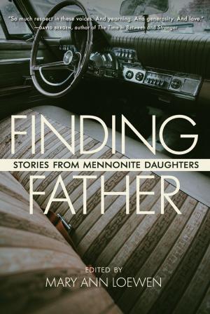 Cover of the book Finding Father by Jonathan A. Allan