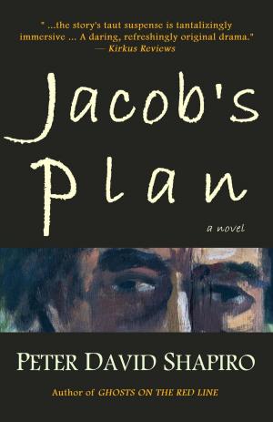 Cover of the book Jacob's Plan by W.F. Ranew
