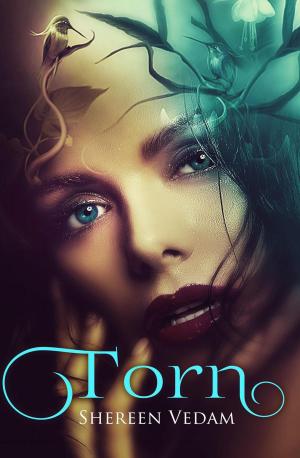 Cover of the book Torn by S A Finlay