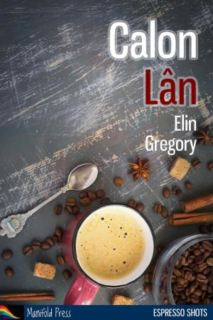 Cover of the book Calon Lan by Chris Quinton