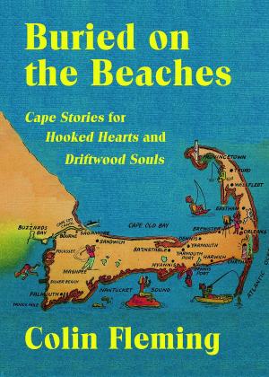 Book cover of Buried on the Beaches