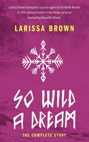 Book cover of So Wild A Dream: The Complete Story